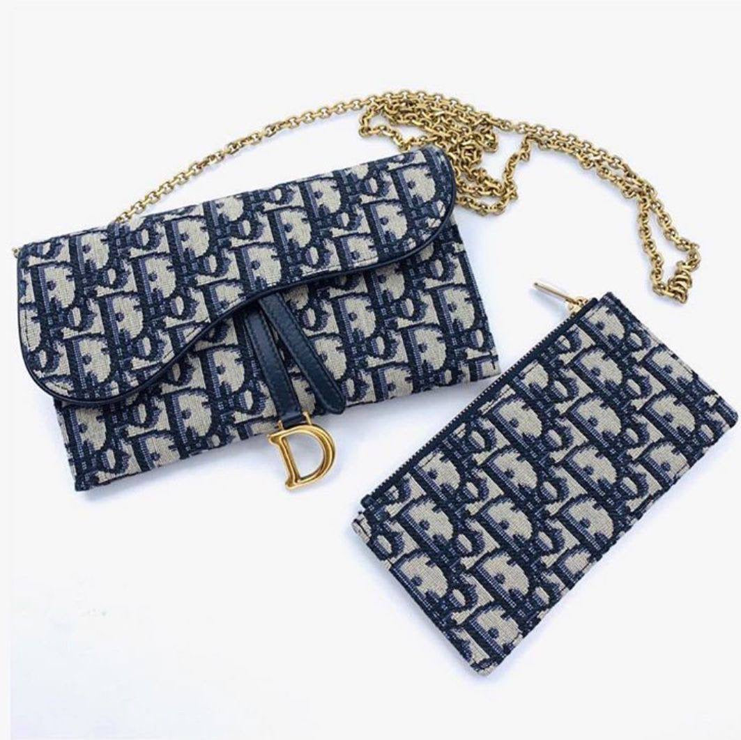 Dior Saddle Chain Wallet & Pouch