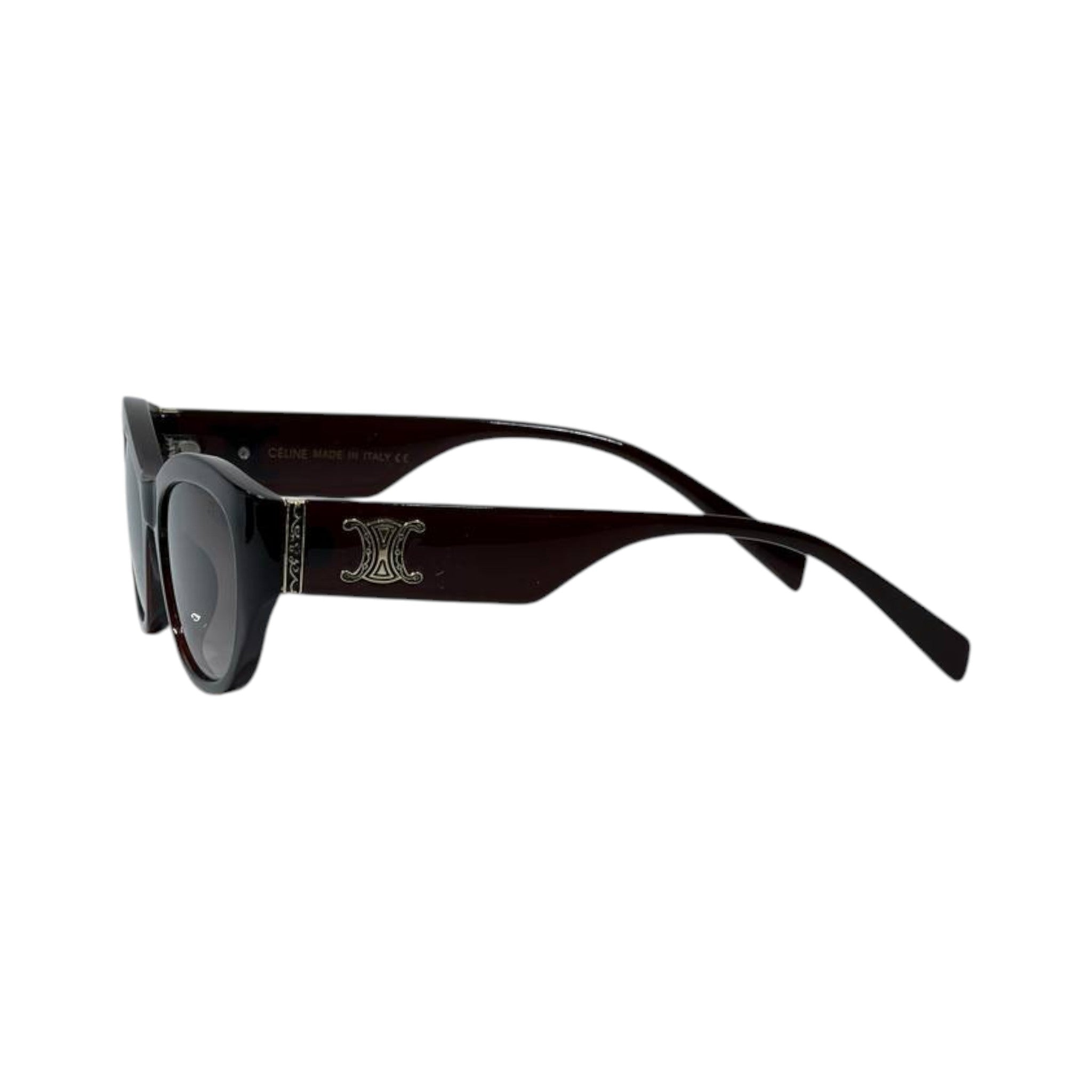 🕶️ Celine Triomphe Oversized Sunglasses – Elegant Black Edition ✨