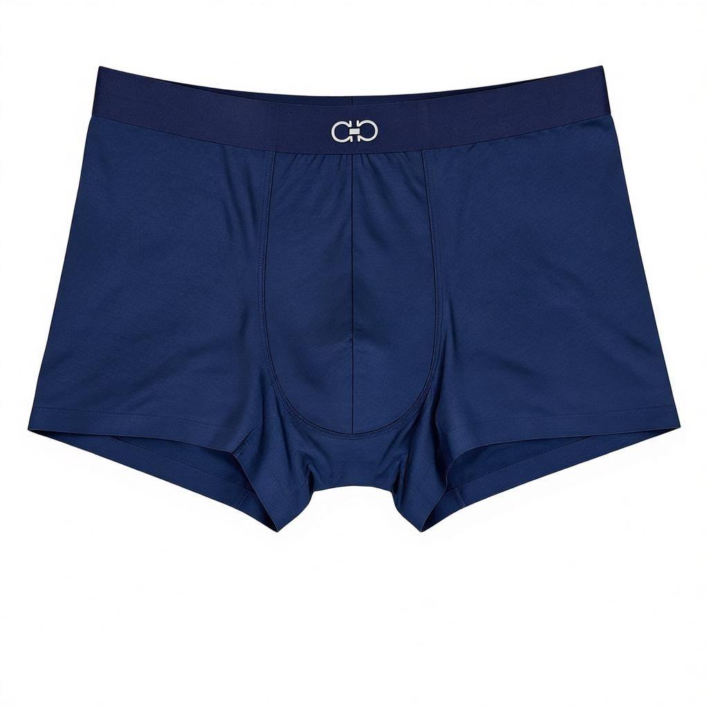 Ferragamo Inspired Premium Men's Boxer Set – 3 Classic Pieces