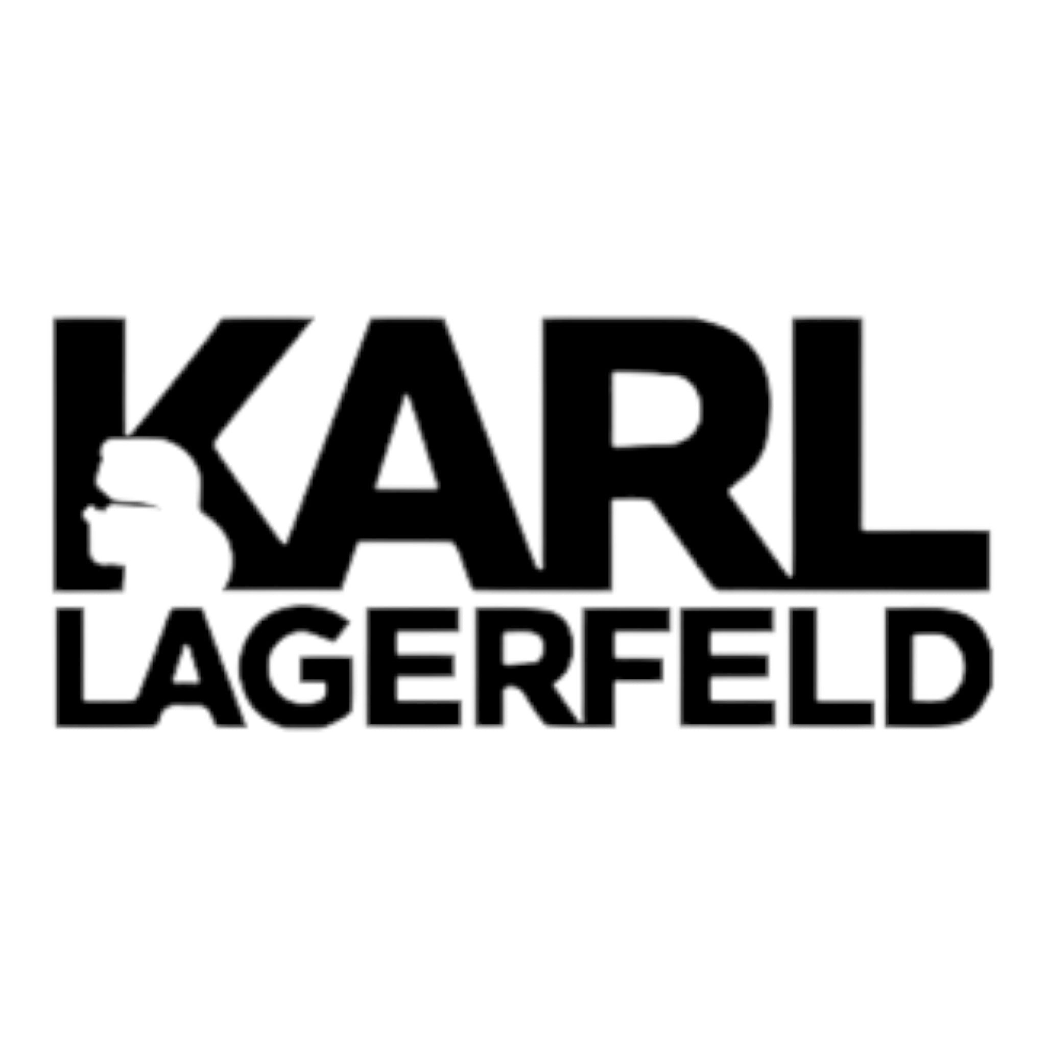 Karl Lagerfeld - MASTERPIECE
