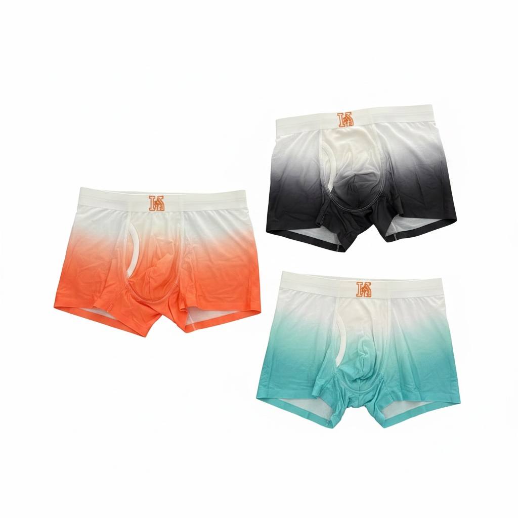 HERMÈS Premium Gradient Boxer Briefs Set – Modern Luxury Collection ✨🌊