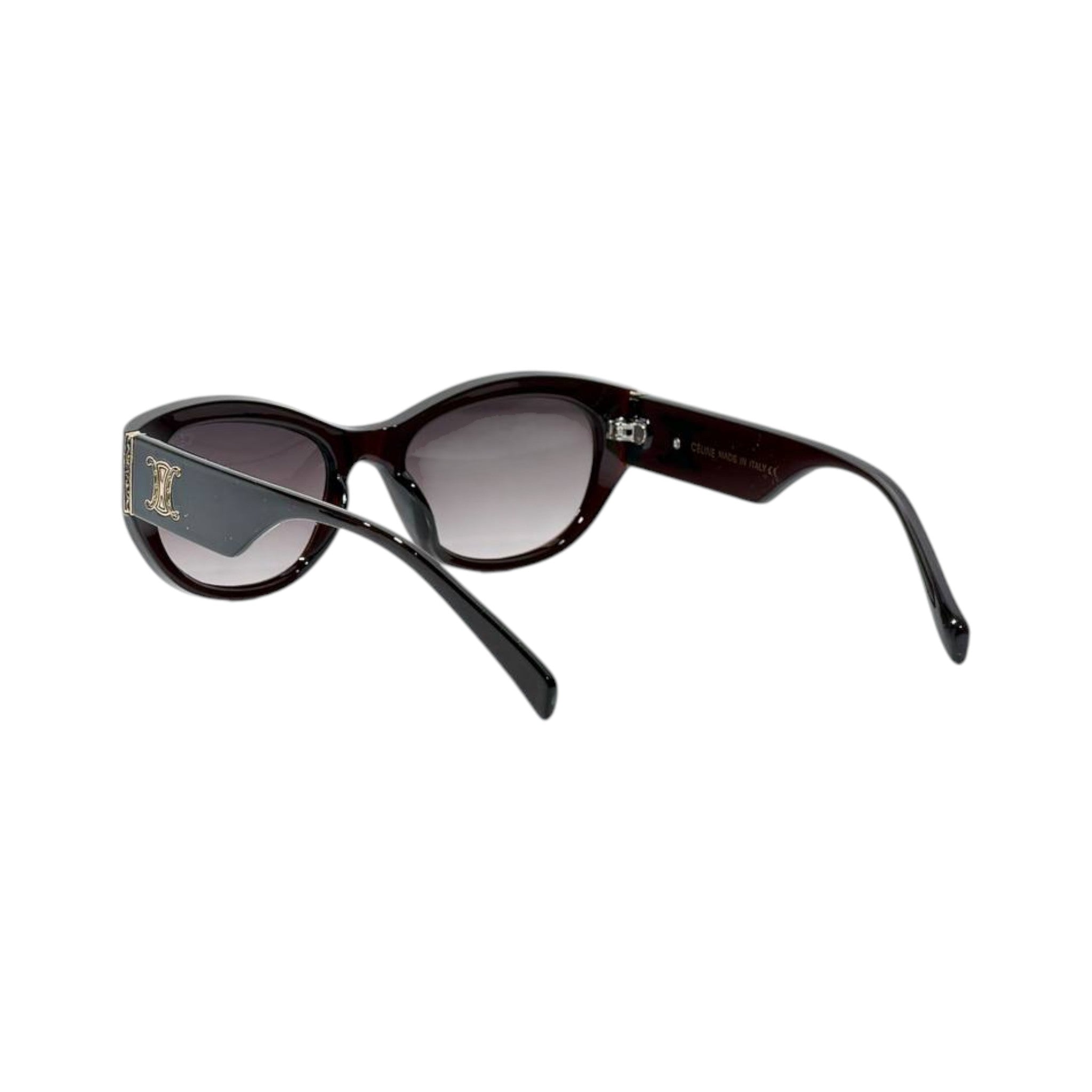 🕶️ Celine Triomphe Oversized Sunglasses – Elegant Black Edition ✨
