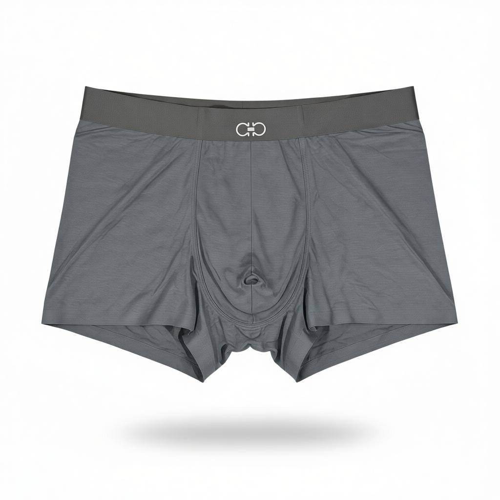 Ferragamo Inspired Premium Men's Boxer Set – 3 Classic Pieces