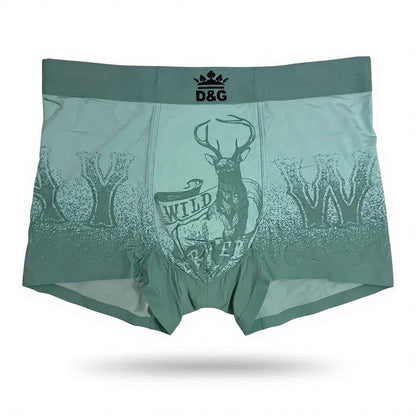 🩲 D&G Wild Graphic Boxer Set – Bold Statement Edition