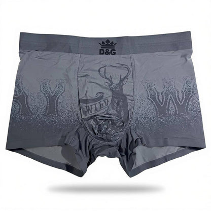 🩲 D&G Wild Graphic Boxer Set – Bold Statement Edition
