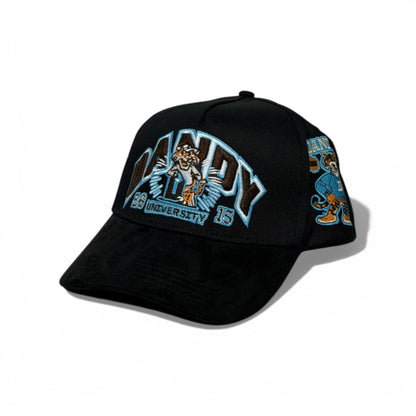 🧢 Thirty One Embroidered Black Cap – Bold Urban Streetwear 🐯🔥