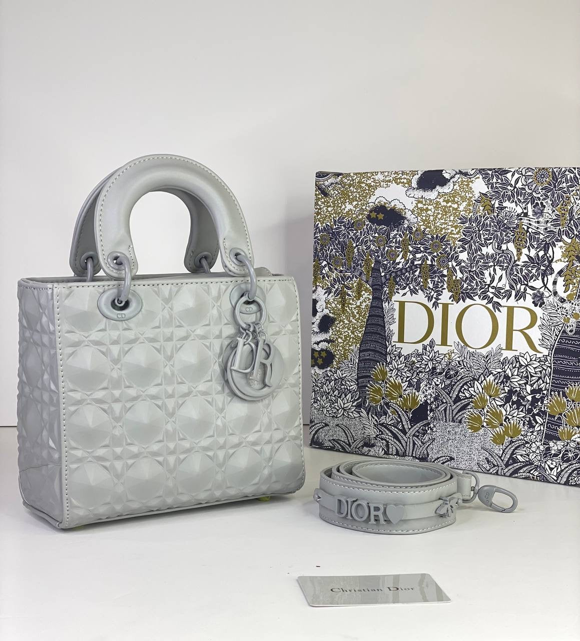 Iconic Lady Dior Mini in Vibrant