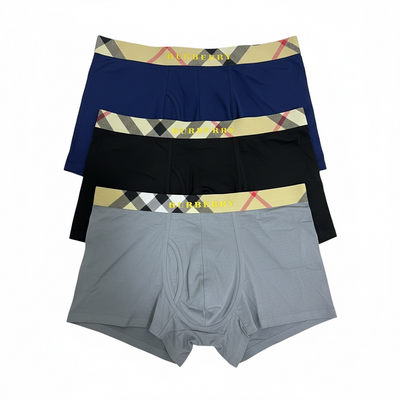 Burberry Icon Check Waistband Boxer Briefs – Premium 3-Pack 🩲✨