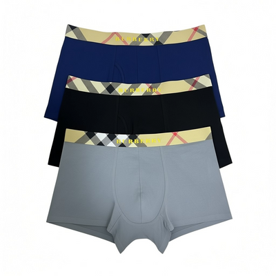 Burberry Icon Check Waistband Boxer Briefs – Premium 3-Pack 🩲✨
