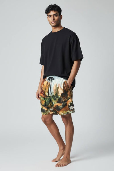 🎨 Dolce & Gabbana Artistic Print Swim Shorts – Luxury Statement Beachwear 🩳🔥 - MASTERPIECE