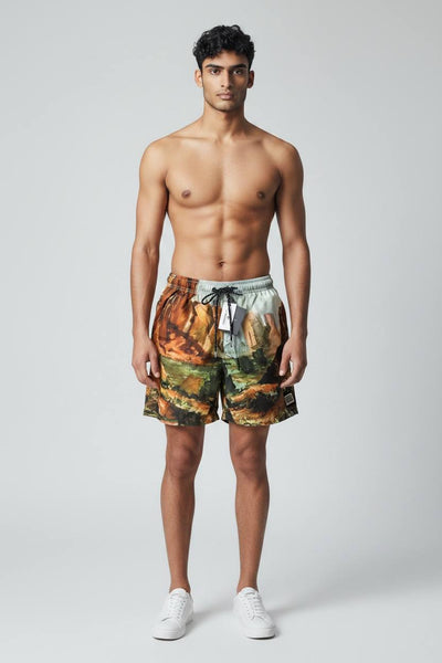 🎨 Dolce & Gabbana Artistic Print Swim Shorts – Luxury Statement Beachwear 🩳🔥 - MASTERPIECE