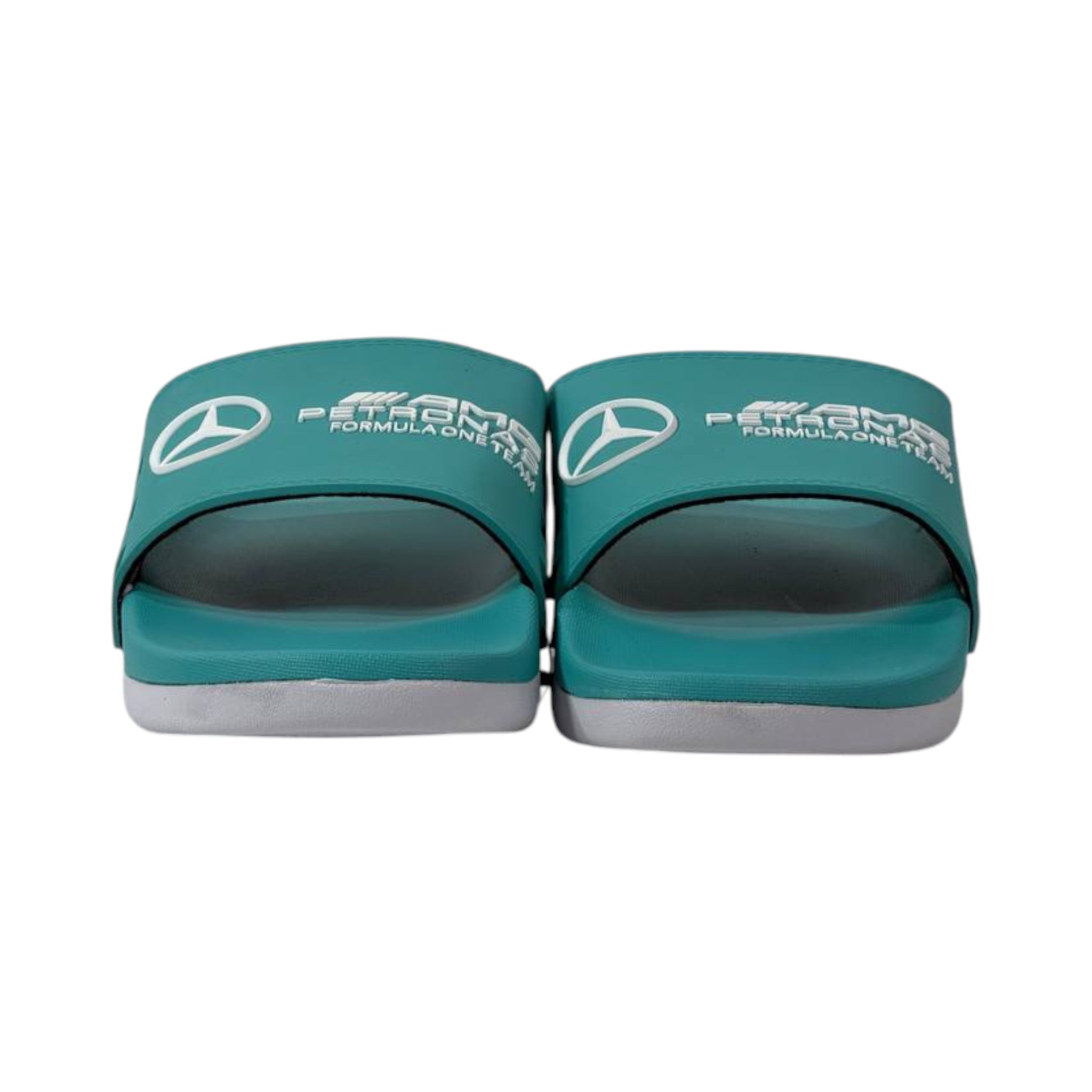 🏁 Mercedes-AMG Petronas Formula One Team Slides 💚⚡ - MASTERPIECE